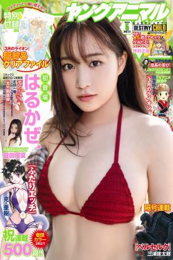 新版高压监狱4