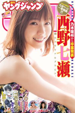 巡回检察组1-43集在线观看